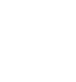 logo-2
